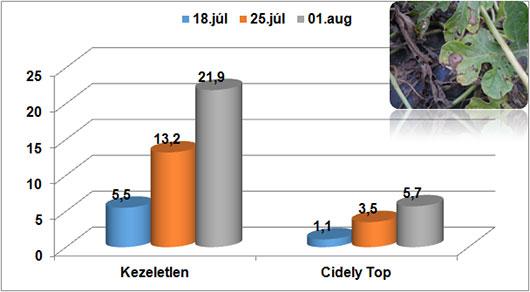 Cidely Top hatékonysága a fenésedés ellen: Fertőzés mértéke (FM %)