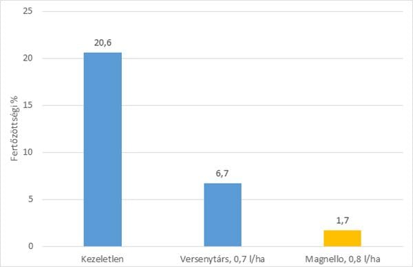Fómás fertőzöttség szintje az egyes kezelések esetében (forrás: Syngenta fejlesztői kísérletek, CZ, n=5, 2014)