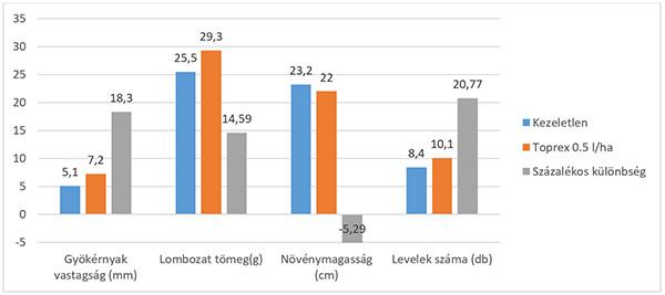 Őszi Toprex kezelés hatása a növényállományra (forrás: Syngenta magyarországi fejlesztői kísérlet