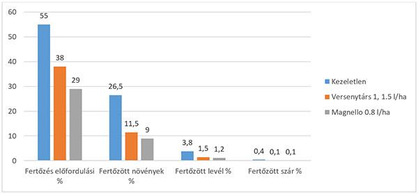 Magnello hatékonysága fómás levélfoltosság és szárrák ellen (forrás: Syngenta fejlesztői kísérlet, 2009, CZ-DE, n=7)