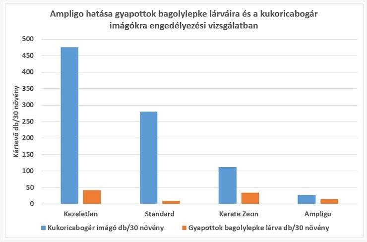 Ampligo hatása gyapottok bagolylepke lárváira és a kukoricabogár imágókra engedélyezési vizsgálatban