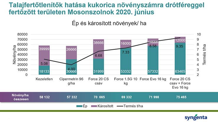 Talajfertőtlenítők hatása kukorica növényszámra drótféreggel fertőzött területen - Force Evo