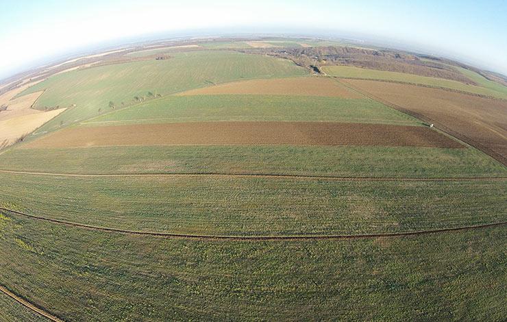 Interra Farm Hálózat