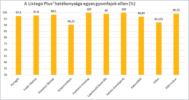 12. ábra: A Listego Plus2 hatékonysága egyes napraforgó gyomnövények ellen. Syngenta fejlesztői kísérletek, 2017-2020.