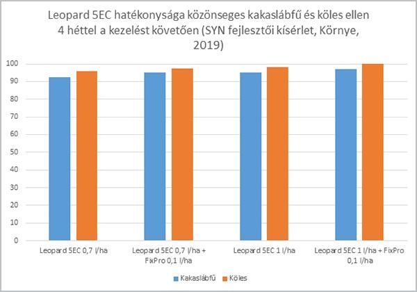 1. ábra A Leopard 5EC* + FixPro hatékonysága közönséges kakaslábfű és köles ellen 4 héttel a kezelést követően. (SYN fejlesztői kísérlet, Környe, 2019)