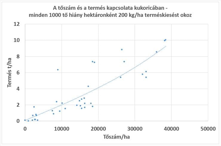 1. ábra - A tőszám és a termés kapcsolata kukoricában - minden 1000 tő hiány hektáronként 200 kg/ha terméskiesést okoz