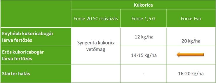 A Syngenta védekezési javaslata kukoricabogár ellen kukoricában