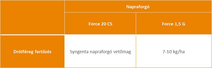 A Syngenta ajánlata drótférgek ellen napraforgóban kultúrában