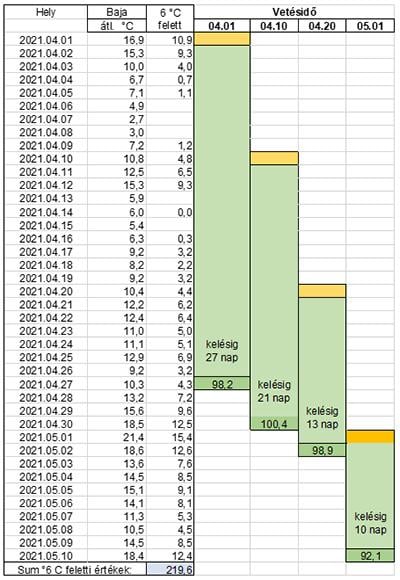 3. ábra. Vetés- és kelésidő szimuláció 6 °C feletti hasznos hőösszegekkel kalkulálva – 2021-es adatokra alapozva. Barna színnel a vetés, míg sötét zöld színben az addig összegyűjtött hasznos hőösszeg, illetve az addig eltelt napok száma látható.