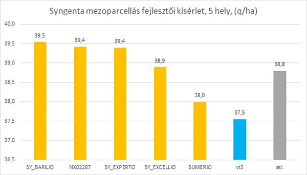 Syngenta mezoparcellás fejlesztői kísérlet, HO hibridek, Magyarország 2021, (5 helyszín) 