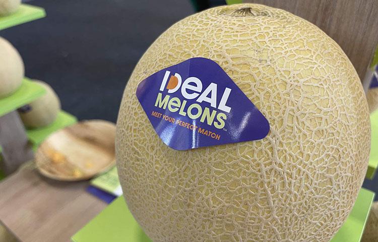 Ezüstérmes lett a Syngenta IDEAL sárgadinnyéje a leginnovatívabb termék kategóriában a Fruit Logistica kiállításon