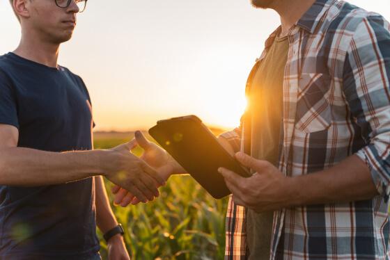 Syngenta | táblára szabott kukorica hibrid ajánlatok |