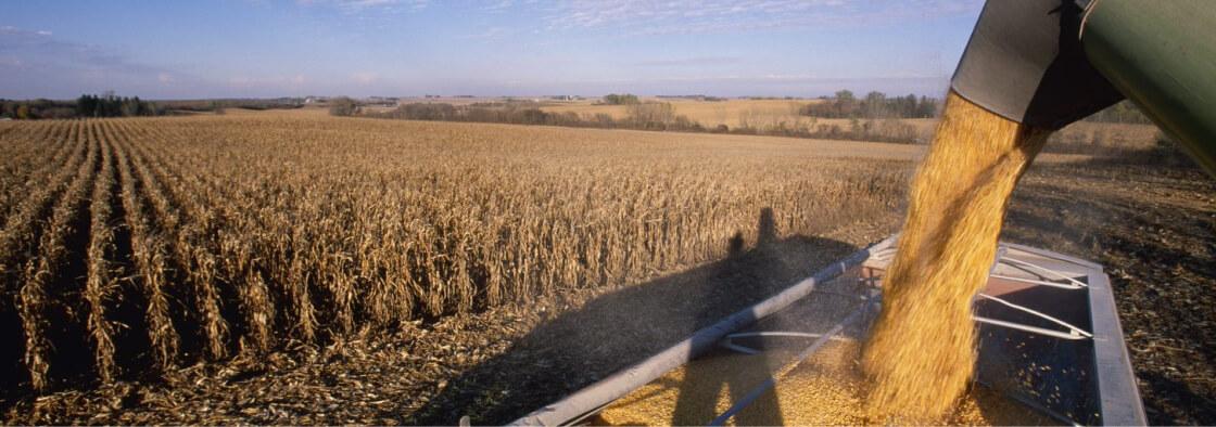 Syngenta |Cropwise Seed Selector vetőmag választó |