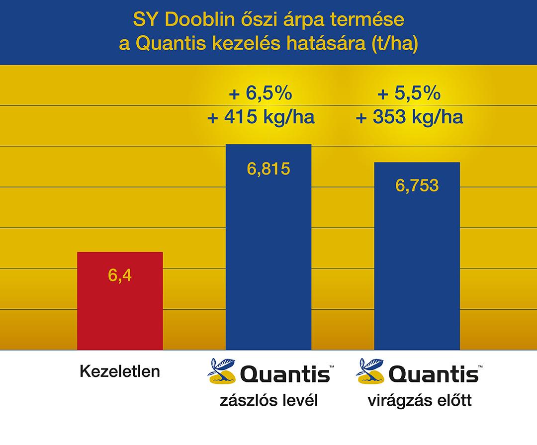 quantistermescikk-2-abra.jpg