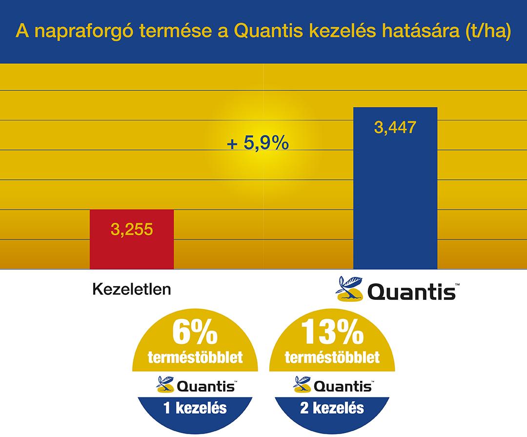 quantistermescikk-5-abra.jpg