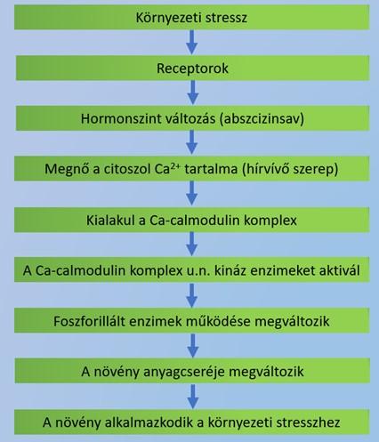 biostimulator-kep3.jpg