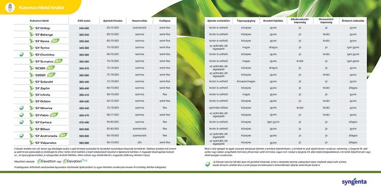 Syngenta kukorica hibrid portfólió - 2024