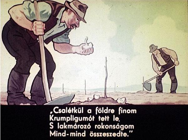 drotfereg-1956.jpg
