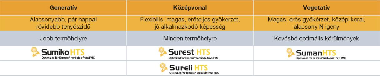 2. táblázat: A linolsavas Express®-toleráns hibridjeink besorolása igényességük, gyökérzetük és növekedési jellegük alapján.