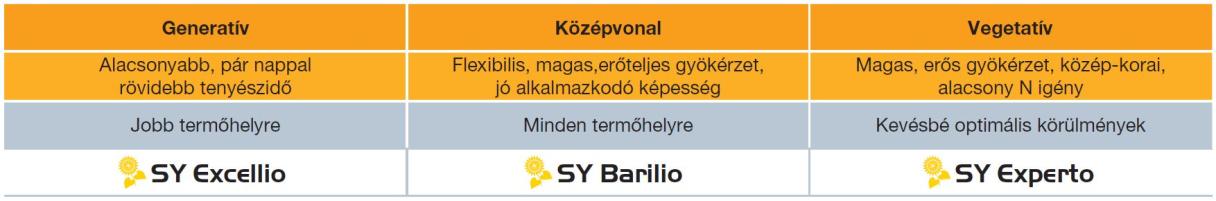 3. táblázat: A magas olajsavas Clearfield® technológiájú hibridjeink besorolása igényességük, gyökérzetük és növekedési jellegük alapján