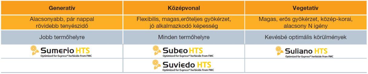 4. táblázat: A magas olajsavas Express®-toleráns hibridjeink besorolása igényességük, gyökérzetük és növekedési jellegük alapján