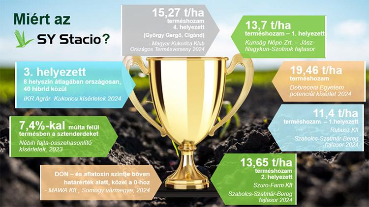 A Syngenta kukoricák 2024-ben is kimagaslóan teljesítettek