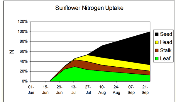 1.ábra A Mantitoba Agricultural 2005.-évi diagramja a nitorgén felvétel dinamikájáról. (Seed-kaszat, Head-tányér, Stalk-szár, Leaf-levél)  Forrás: MASC (USA)