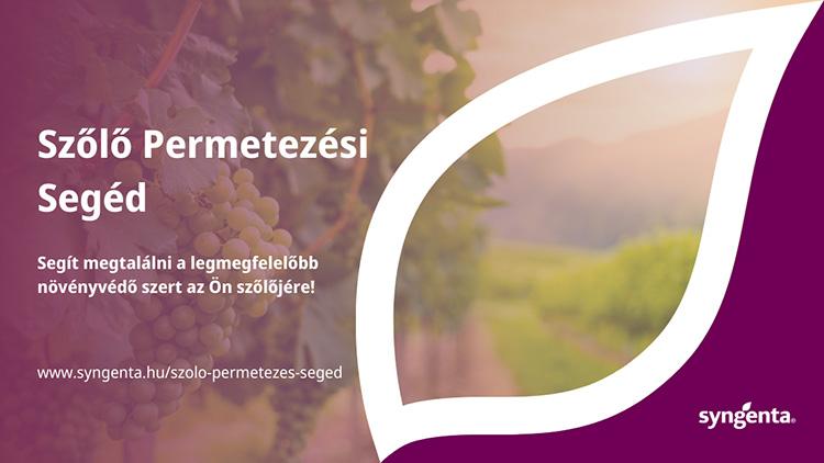 Szőlő permetezési segéd