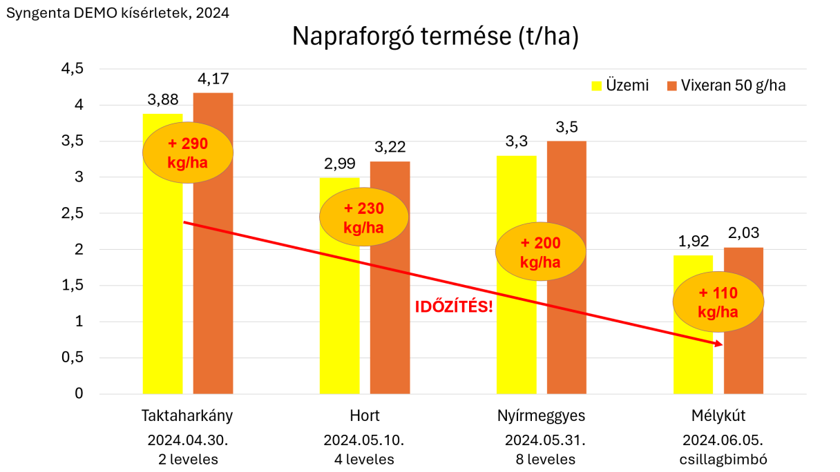 1.  ábra. A napraforgó termésének alakulása a különböző fenológiai fázisokban kijuttatot, 50 g/ha Vixeran hatására Syngenta DEMO (üzemi) kísérletekben, 2024-ben