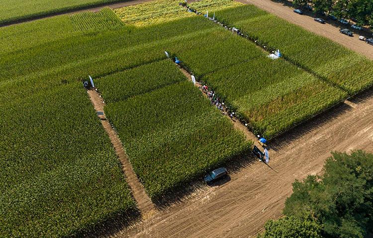 Magasabb szintre emelné a gazdálkodók technológiai tudatosságát és eredményességét a Syngenta Agronomy Solution csapata