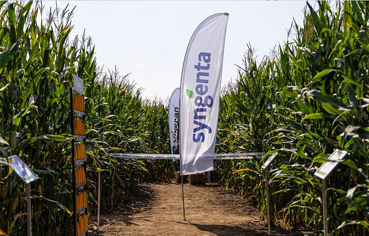 Magasabb szintre emelné a gazdálkodók technológiai tudatosságát és eredményességét a Syngenta Agronomy Solution csapata