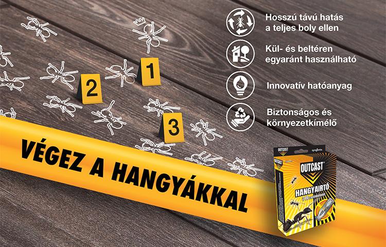 Hogyan szabaduljunk meg a hangyáktól egyszerűen?