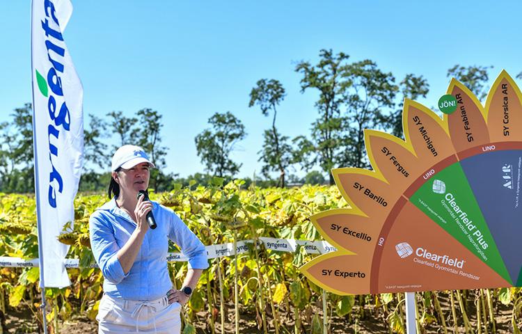 Új kihívások, innovatív válaszok a napraforgó és kukorica termesztésében - Syngenta crop-Ex 2025 rendezvény