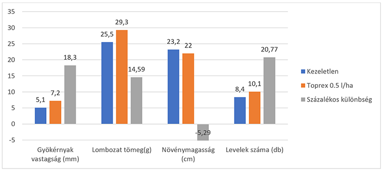 őszi Toprex kezelés hatása a növényállományra (forrás: Syngenta magyarországi fejlesztői kísérlet, Cegléd, 2013)