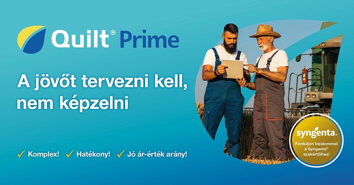 Quilt Prime