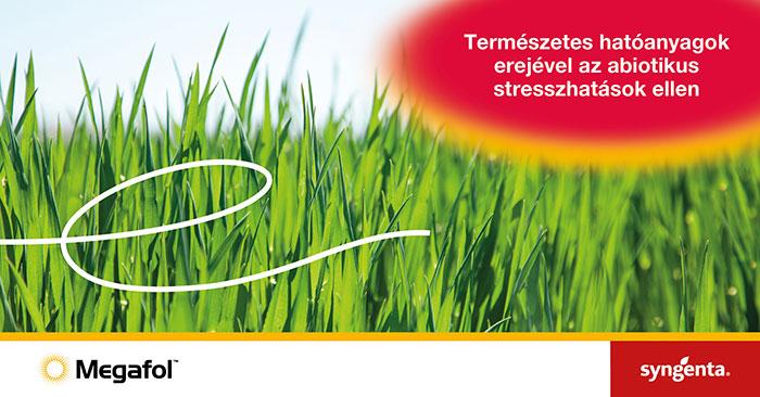 Megafol – általános stresszkezelés
