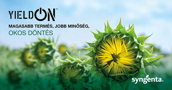 YieldOn – a kritikus termésfejlődési időszakok támogatója