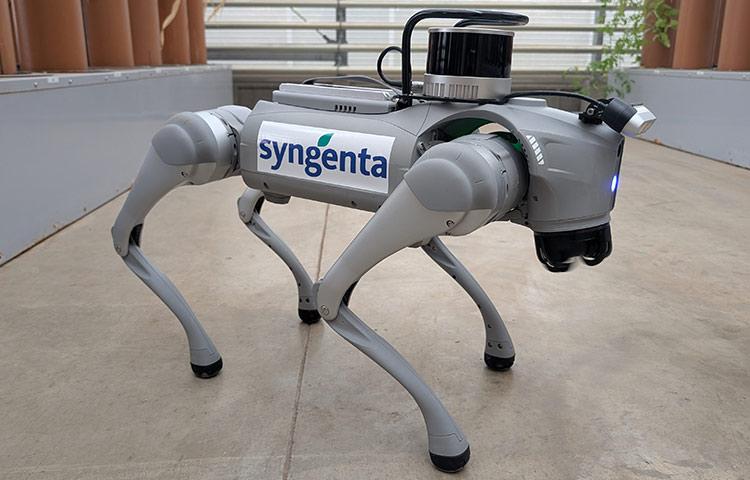 Robotkutya: az agronómus új legjobb barátja