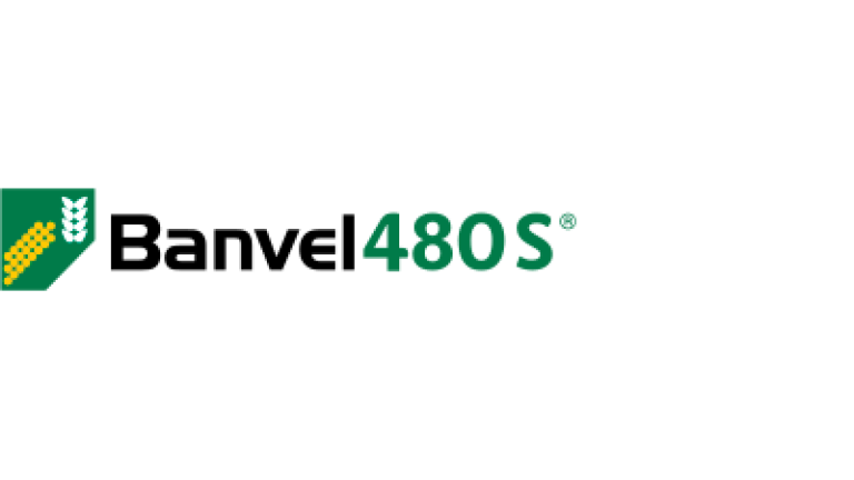 Banvel 480 S