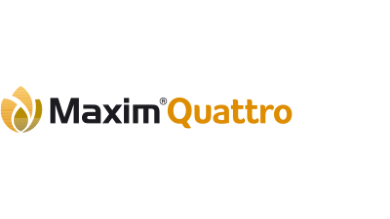 Maxim Quattro