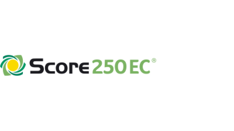 Score 250 EC