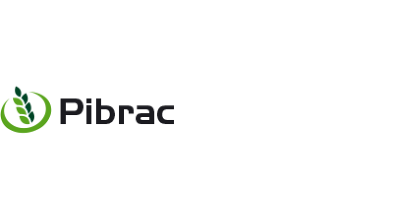 Pibrac