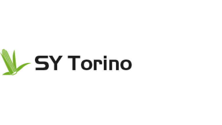 SY Torino