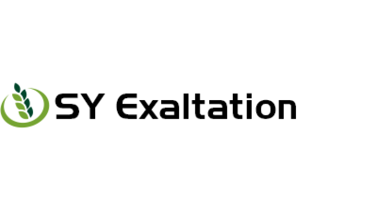 SY Exaltation őszi búza vetőmag