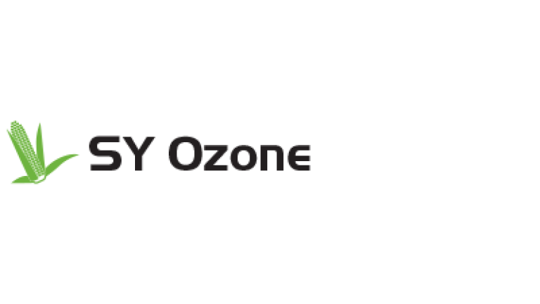 SY Ozone FAO 330-340 kukorica vetőmag
