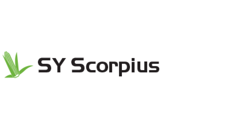 SY Scorpius FAO 350-360 kukorica vetőmag