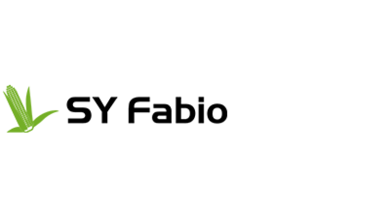SY Fabio kukorica hibrid vetőmag