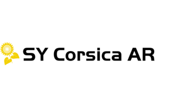 SY Corsica AR napraforgó hibrid vetőmag