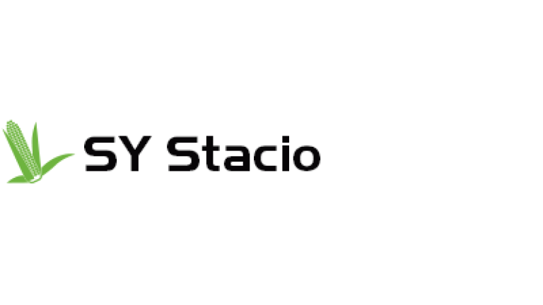 SY Stacio kukorica hibrid vetőmag