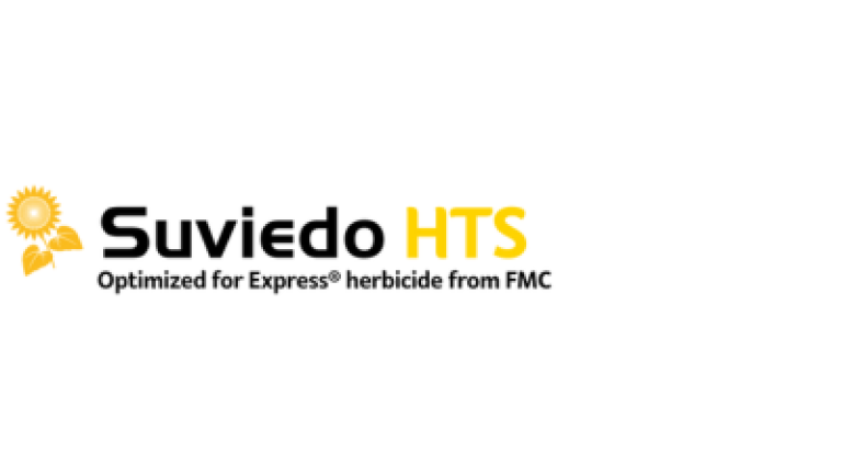 Suviedo HTS napraforgó hibrid vetőmag